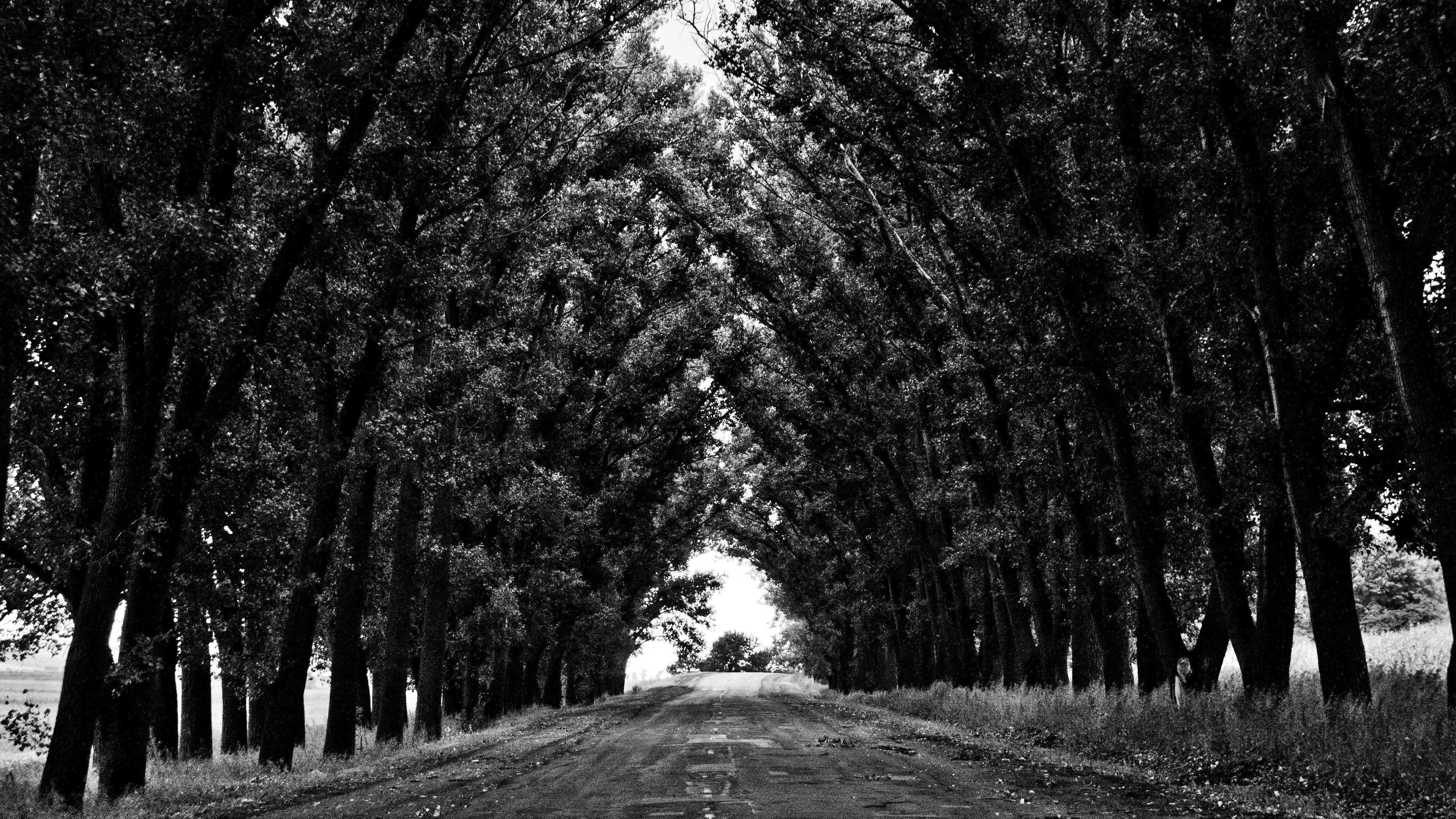 Tóm tắt rủi ro & leo thang